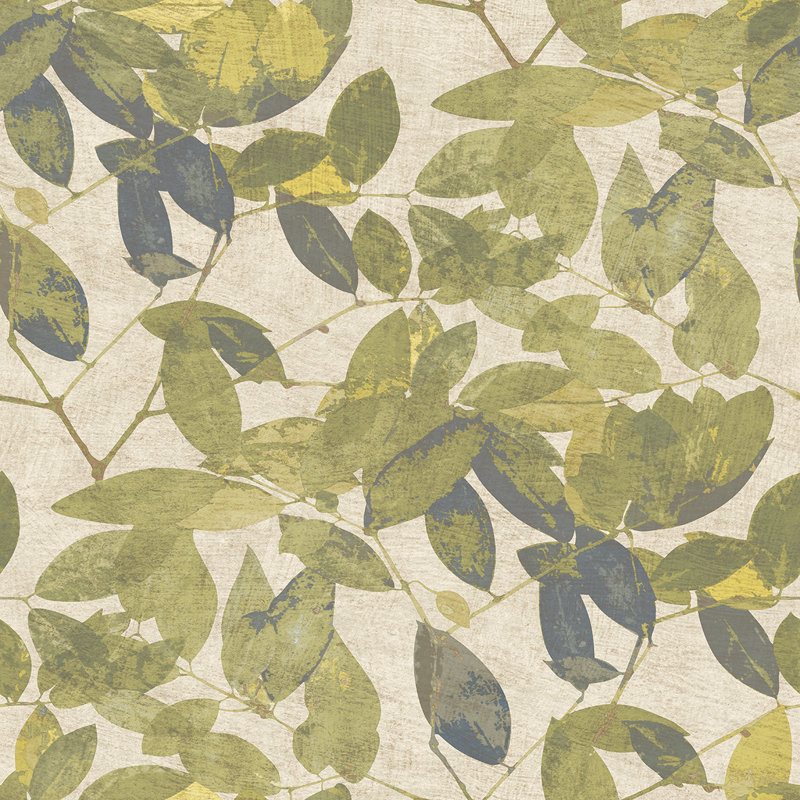 Papier peint feuilles de hêtre, Vert