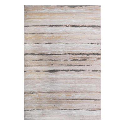 Non-Shedding Living Room Bedroom Dining Home Office Stylish and Stain Resistant Area Rug