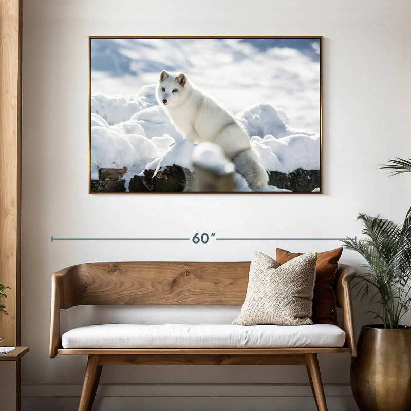 Renard arctique, 46 po x 31 po, Cadre flottant doré