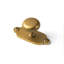 Poignée champignon 1,2 po avec contre-plaque - Laiton antique-133707059-133707062