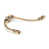 Polished Bronze