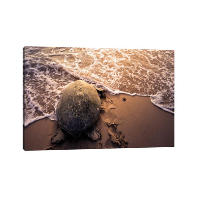 Turtle Migration 1 Piece Wrapped Canvas Wall Art