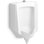 Stanwell Blow-out 0.5 to 1.0 GPF Urinal with Top Spud