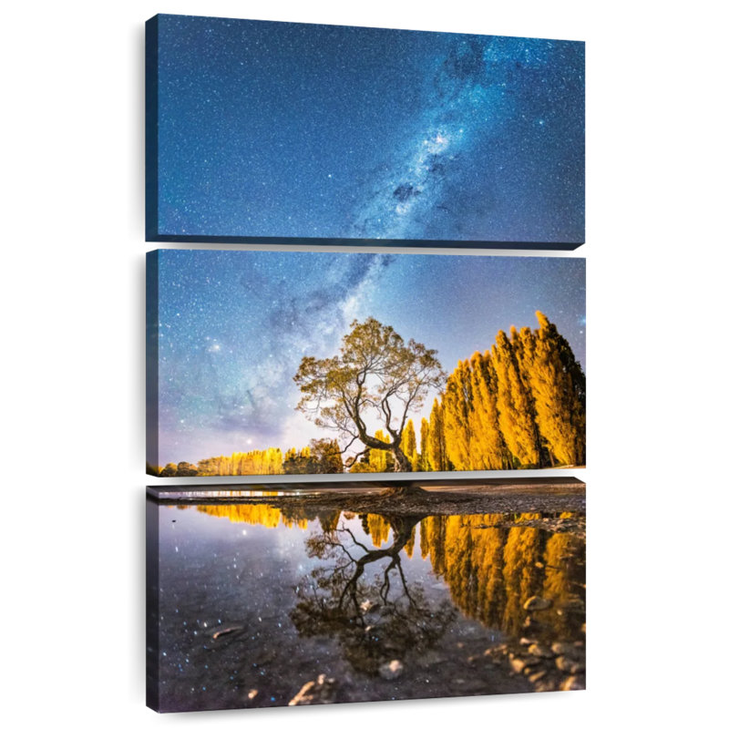 Voie lactée Oberle sur un arbre Wanaka, H 32 po x l 20 po
