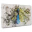 Peacock Vol.2 - Wrapped Canvas-61877377