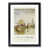 Black Framed selected