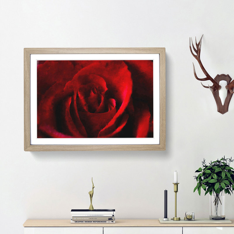 The Beauty of a Red Rose - Picture Frame Painting Print, 33cm H x 45cm W x 2cm D, Oak Framed