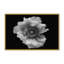 Nature Inspired Poppy in Mono by  - Picture Frame Photograph on Paper-81388141-131284592-131291955