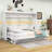 Mihoko Murphy Bed Cabinet with Display Shelf-1662849296-1662849297