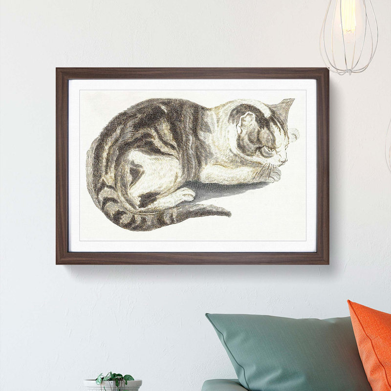 Cat by Johan Teyler - Framed Print, 36cm H x 48cm W x 2cm D, Walnut Framed