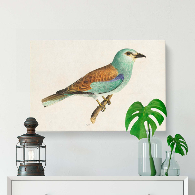 European Roller Bird by Von Wright - Wrapped Canvas, 35cm H x 50cm W x 3cm D