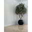Artificial Olive Tree 30" Globe Planter-445470674