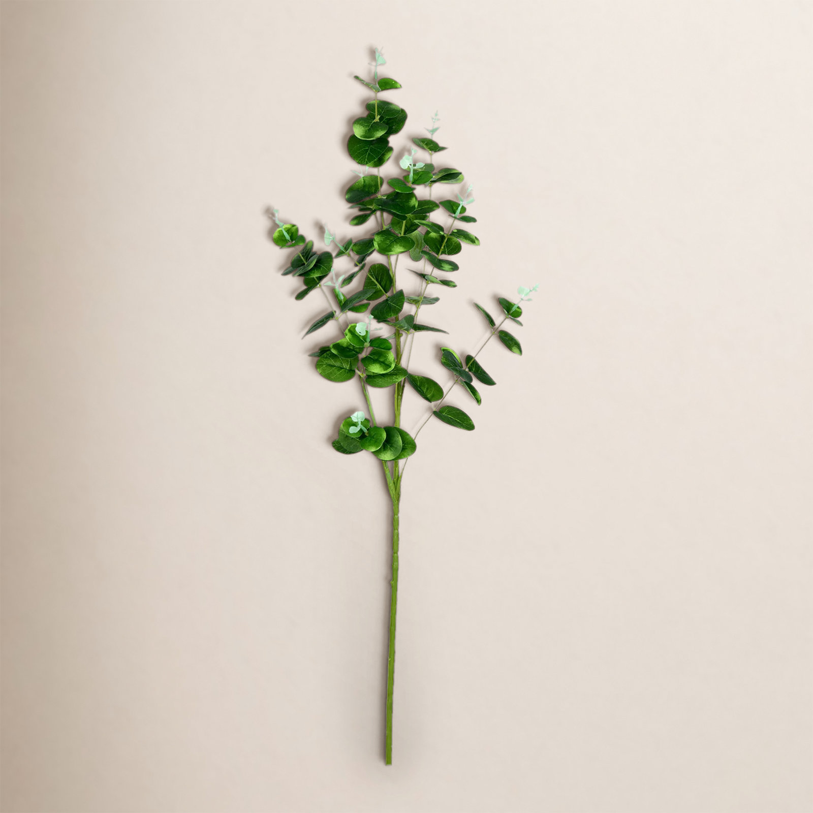 Orie Money Leaf Stems, Gray