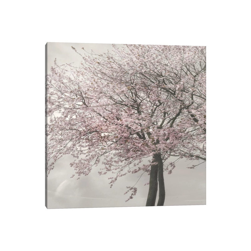 Blush in the Wind II 1 Piece Wrapped Canvas Wall Art, 45.72 cm H x 45.72 cm W x 3.175 cm D