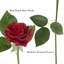 Fleurs artificielles roses - Ensemble de fausses fleurs 11,5 pouces avec tiges pour décoration intérieure 18 pièces-228079770