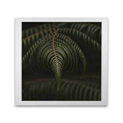 Fern 2 by Nur Mut - Single Picture Frame Print