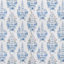 Blue/White
