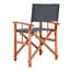 Fletching Folding Director Chair-1086432671