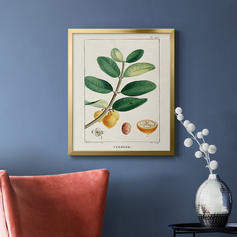 Toile encadrée Turpin Tropical Botanicals V - prête à accrocher, Or, H 24 po x l 20 po