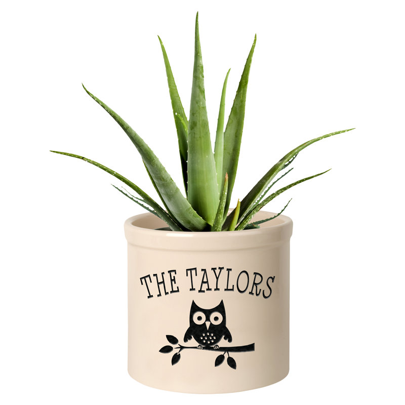 Boylston 1 - Piece Ceramic Pot Planter, Yes, Black