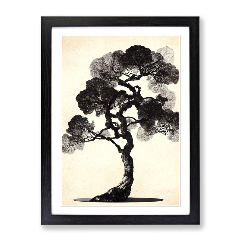Pear Tree Shadow Vol.2 - Single Picture Frame Print, 64cm H x 46cm W x 2cm D, Black
