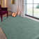 Aerilyn Solid Colour Hand Woven Area Rug
