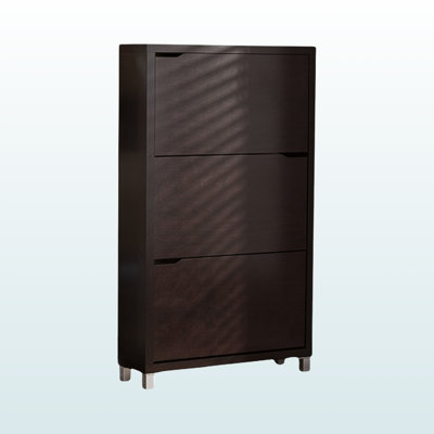 Leticia Brown Finish Modern Shoe Cabinet With Door With Silver Leg, 52.4" H X 30.91" W X 8.87" D