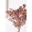 Dried Flower Bunch-119034007-119034006
