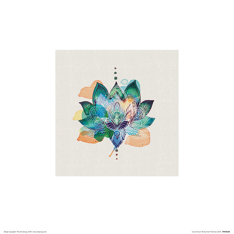 Lotus Flower by Summer Thornton - No Frame Painting