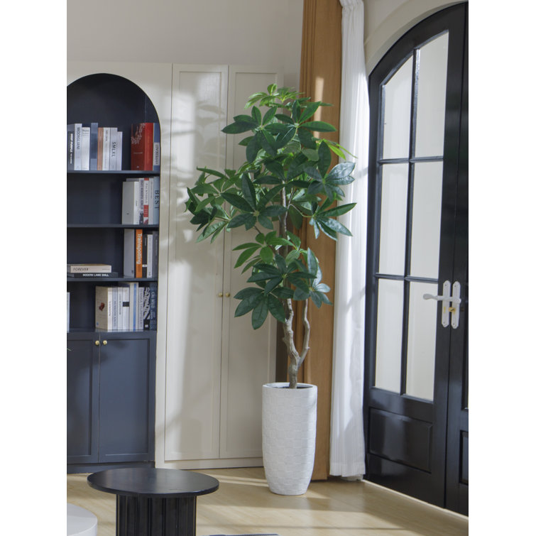 Artificial Money Tree In A Tall Beige Fiberstone Planter
