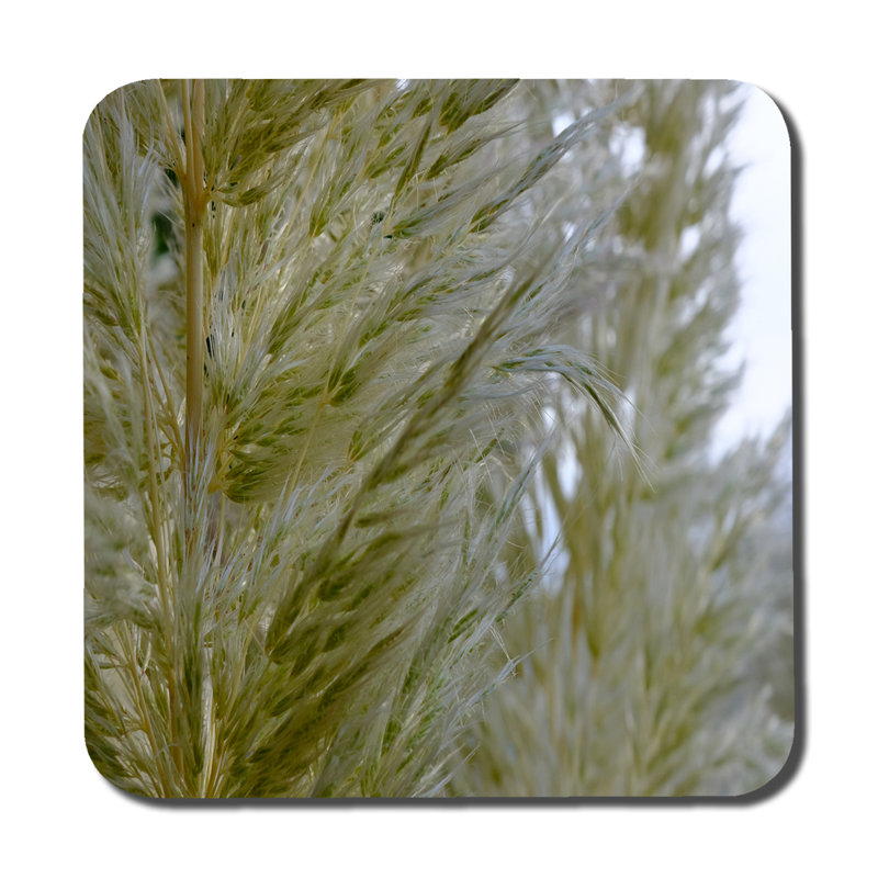 Square 6 Piece Coaster Set