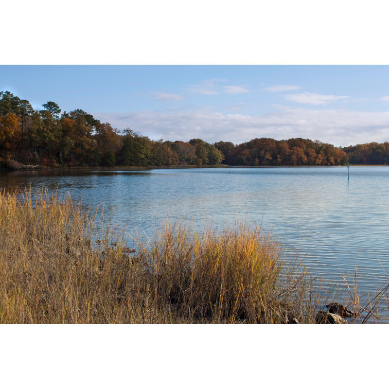 Chesapeake Bay avec arbres par Okrad, H 24 po x l 36 po