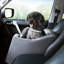Siège de voiture en polyester Pet Booster-98410745
