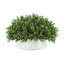 Boxwood Arrangement In A Ceramic Vase-2113066378