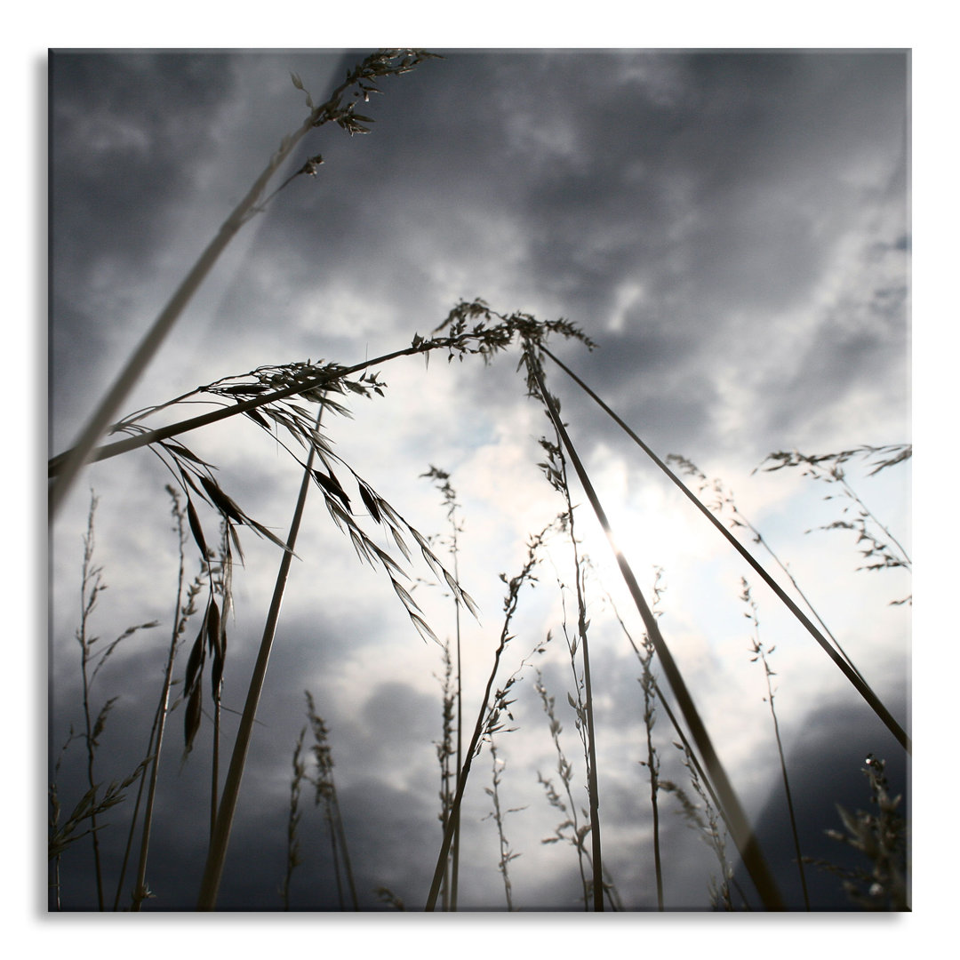 Glasbild Gloomy Grass vor dem Regen