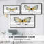 «Vintage Flutter I», toile tendue avec châssis encadré, prête à être accrochée-319466019-319466047