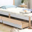Lajoy Drawers Bed-1344817392