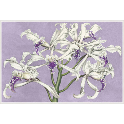 White Orchids On Lilac Painting by Lillian August