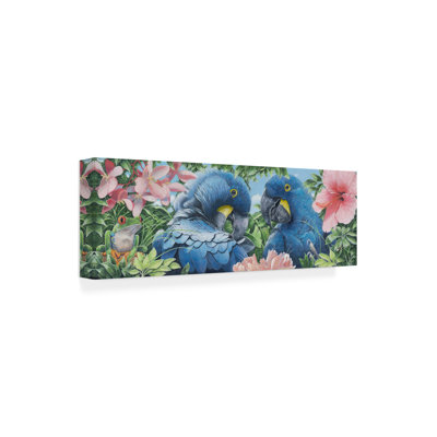 «Blue Macaws» par Durwood Coffey, impression sur toile panoramique
