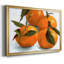 Citrus Grouping II, reproduction d'art sur toile-1802686968-1802686974