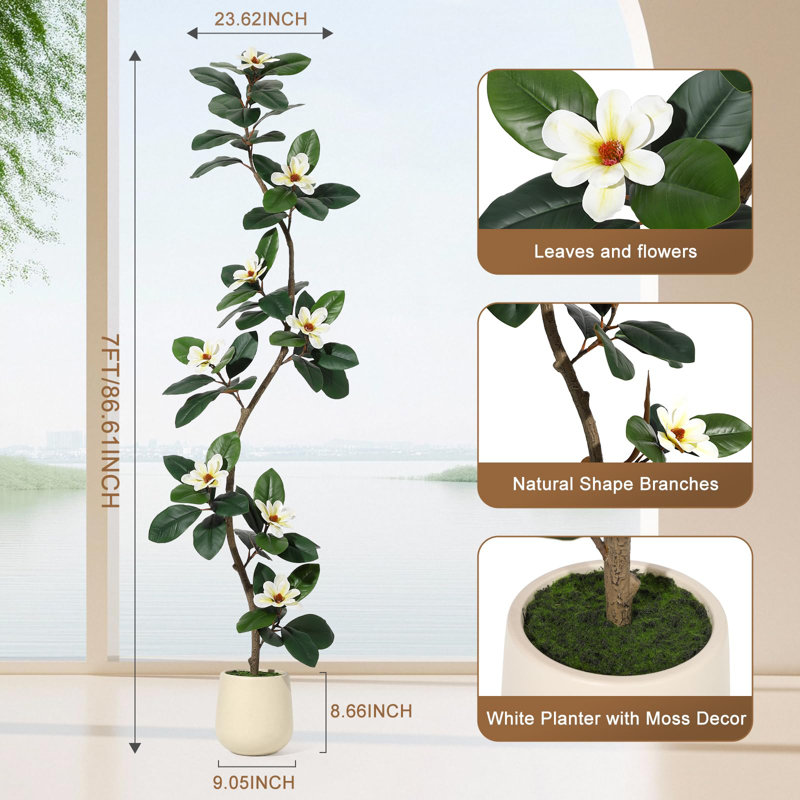 Artificial Rubber Tree with Realistic Magnolia Flowers - White Planter Included - Low-Maintenance Faux Plant for Indoor/Outdoor Home Office Decor - Gift Idea