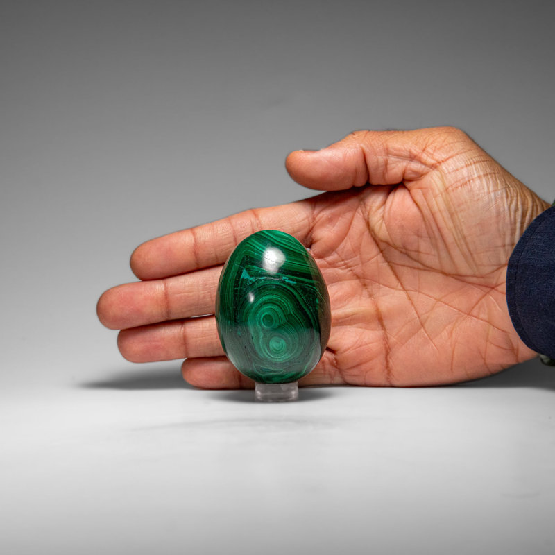 Genuine Polished Malachite Egg (235.8 Grams)