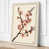 Cream Border