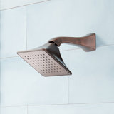 Signature Hardware Vilamonte Shower Head and Arm