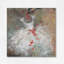 «Rouge I» par Debi Coules - Estampe numérique sur toile tendue avec châssis-22230571-74428100-74428105