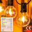Aliosman 1620cm 50 - Bulb Festoon Lights String Light (End to End Connectable)