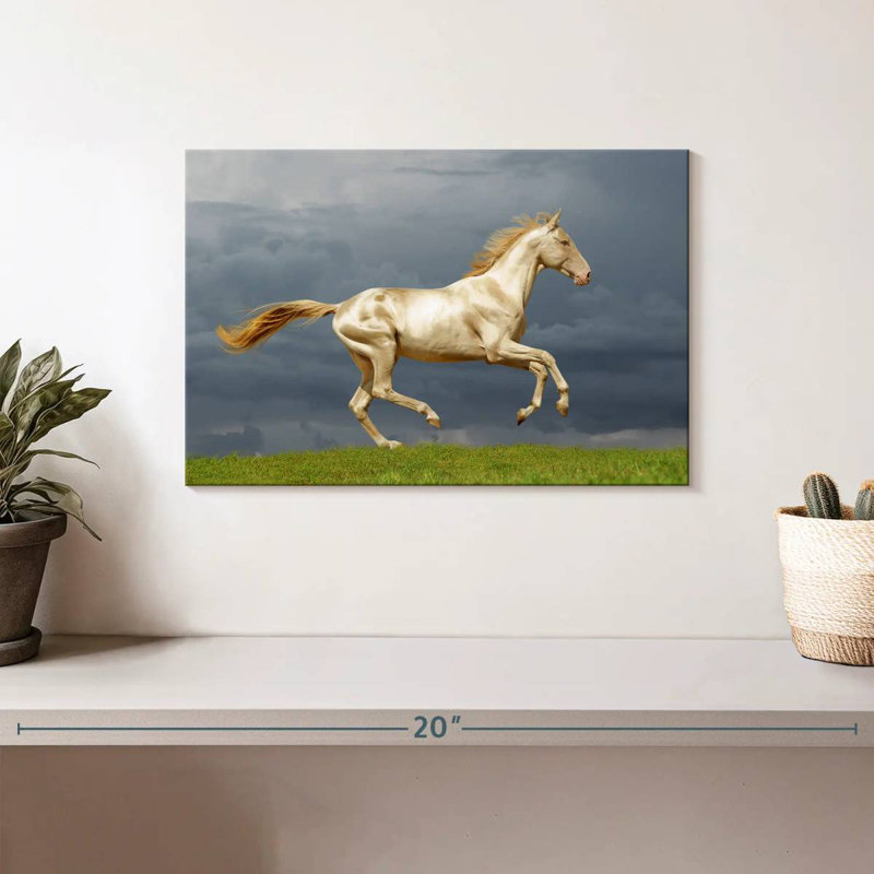 Brampt magnifique cheval Akhal Teke, H 8 po x l 12 po