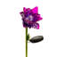 Piquet de jardin Mellon-260584936