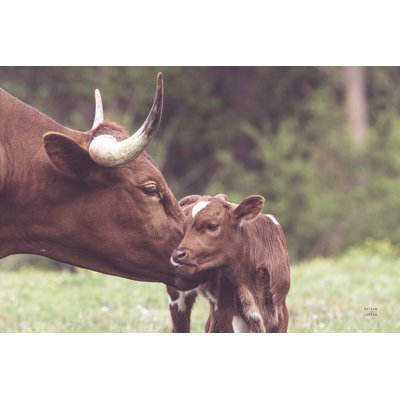 Longhorn Kiss by Nathan Larson
