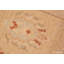Tapis de couloir large Modern Gallery